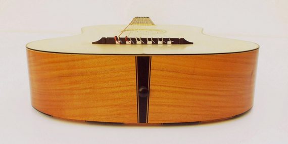 Vihuela de Chambure-Félix Lienhard-luthier-luth-archiluth-théorbe-guitare baroque